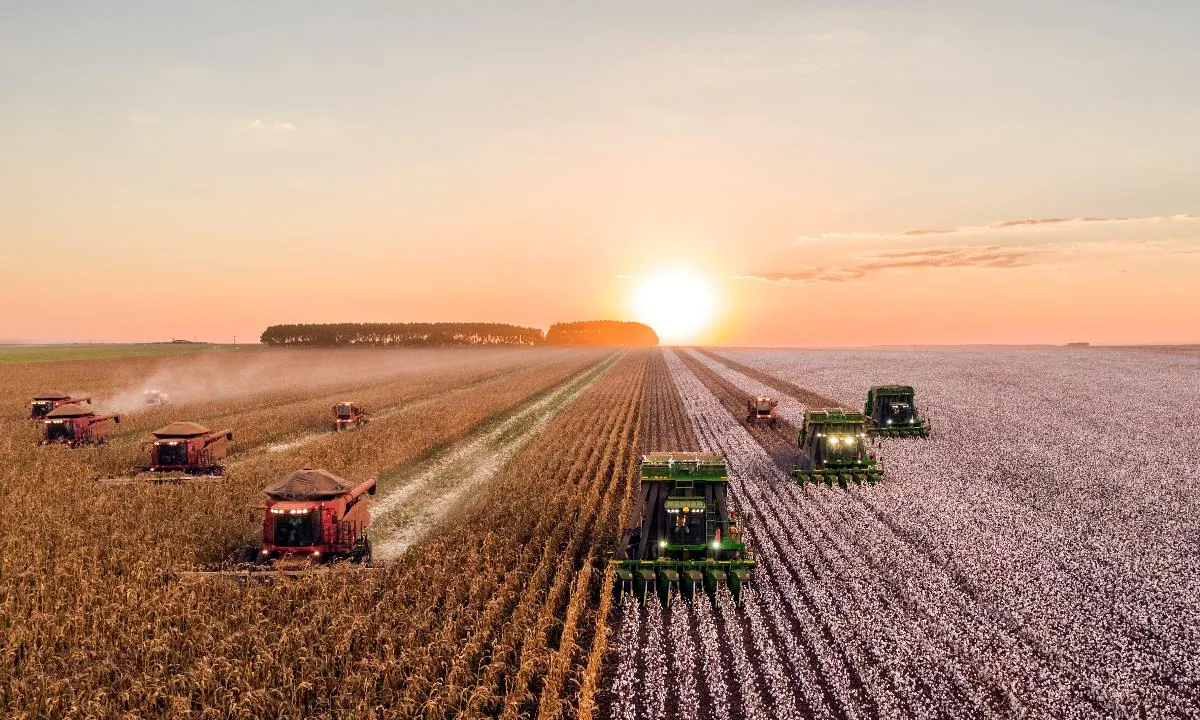 Agriculture Africa Import