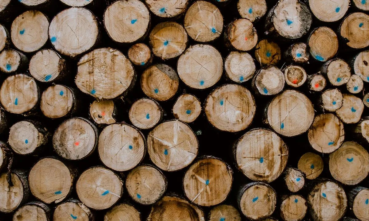 Forestry Import Turkey
