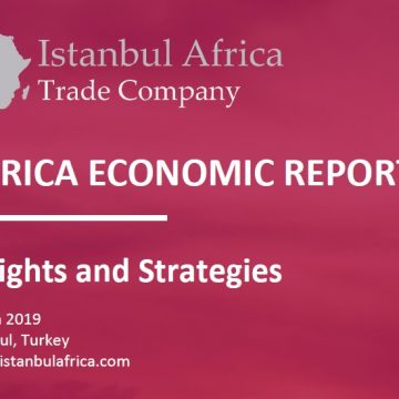 africa economic report 2019 insights and strategies trade report