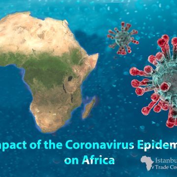 Africa Coronavirus Epidemic Impact