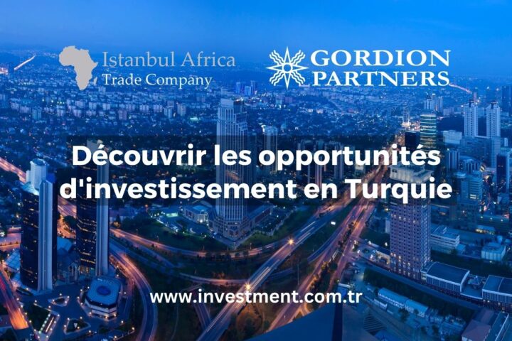 Découvrir les opportunités d’investissement en Turquie avec Gordion Partners