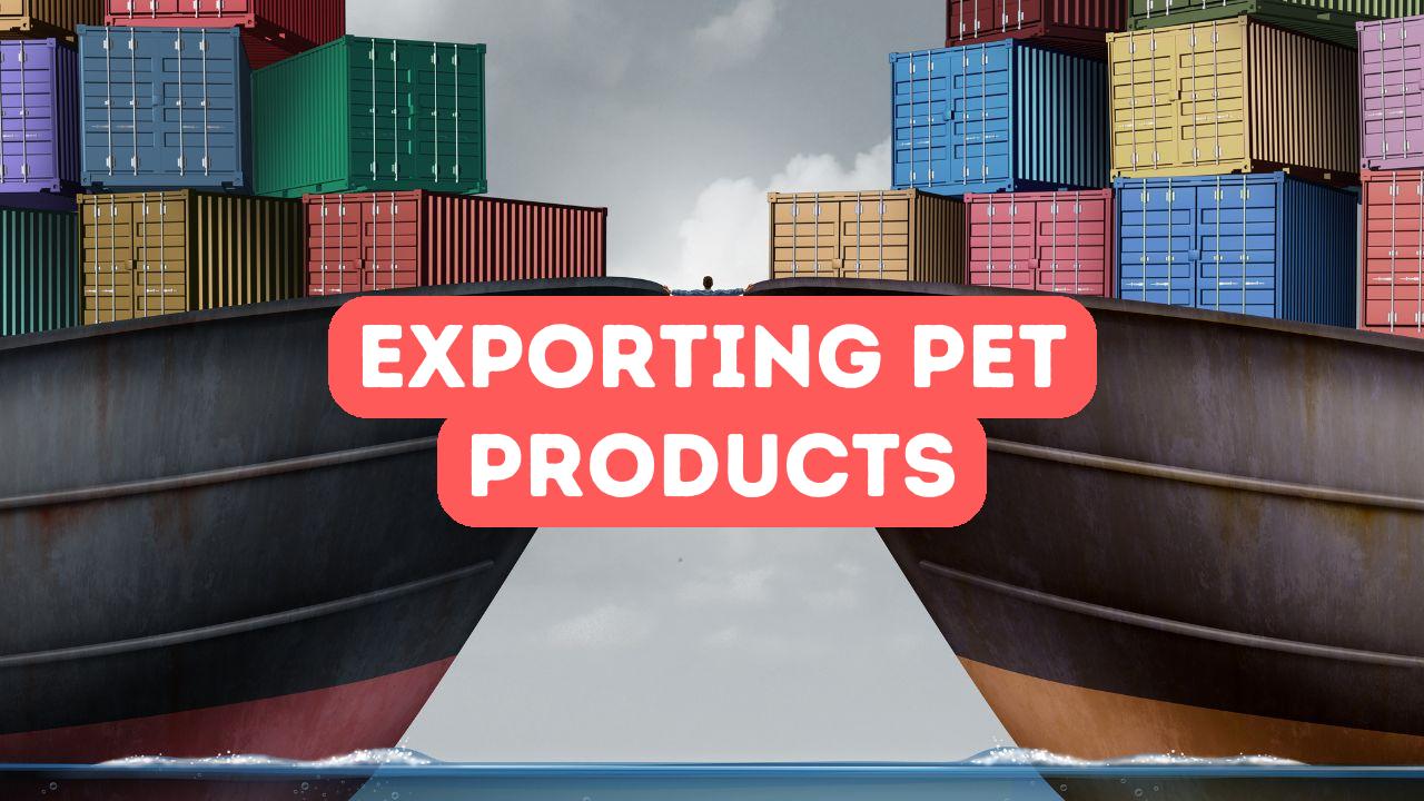 Exporting Pet Products to Africa Istanbul Africa Trade Company
