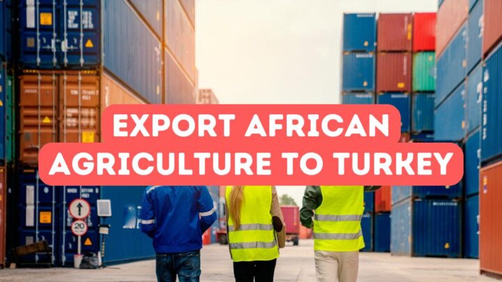 Export African Agricultural Products to Turkey