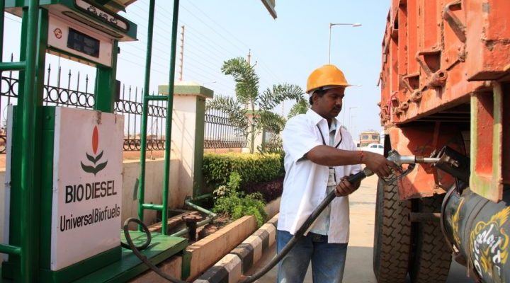 Biogas and Biodiesel Plant in Africa