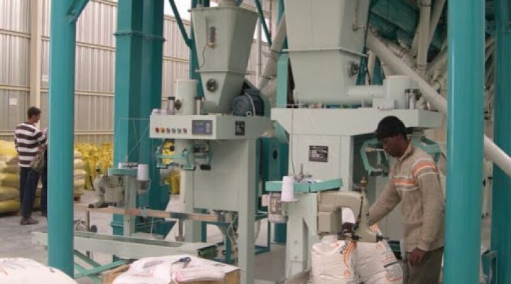 Maize and Wheat Mill Processing Plant Maize and Wheat Mill Processing Plant