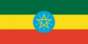 africa country flag
