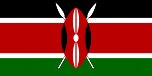 africa country flag