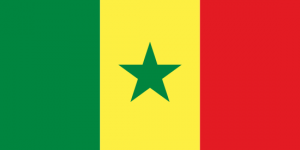 africa country flag
