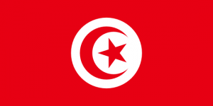 africa country flag