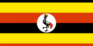 africa country flag