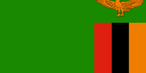 africa country flag